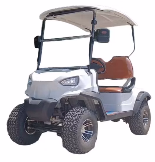 2023 Nuevo coche de golf eléctrico Buggy Glof Cart 2+2 de 4 plazas
